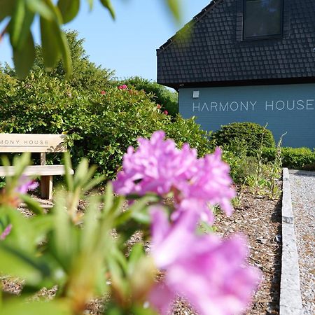 Harmony House Otel Handewitt Dış mekan fotoğraf